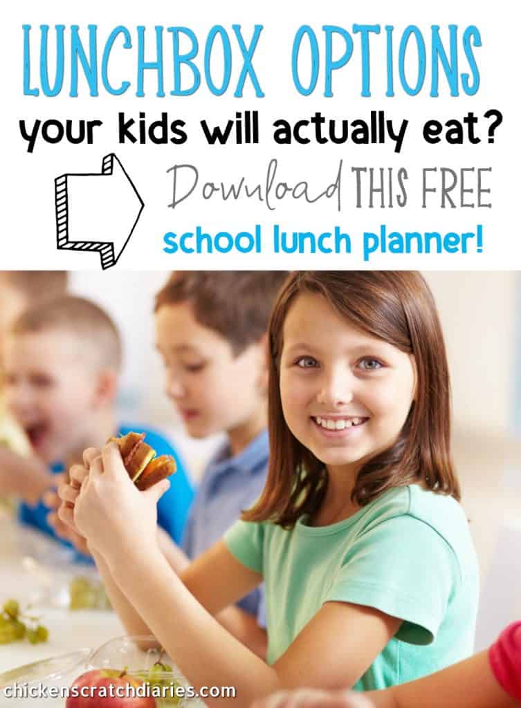 Ultimate List of School Lunch Ideas (Free printable) » Chicken Scratch ...