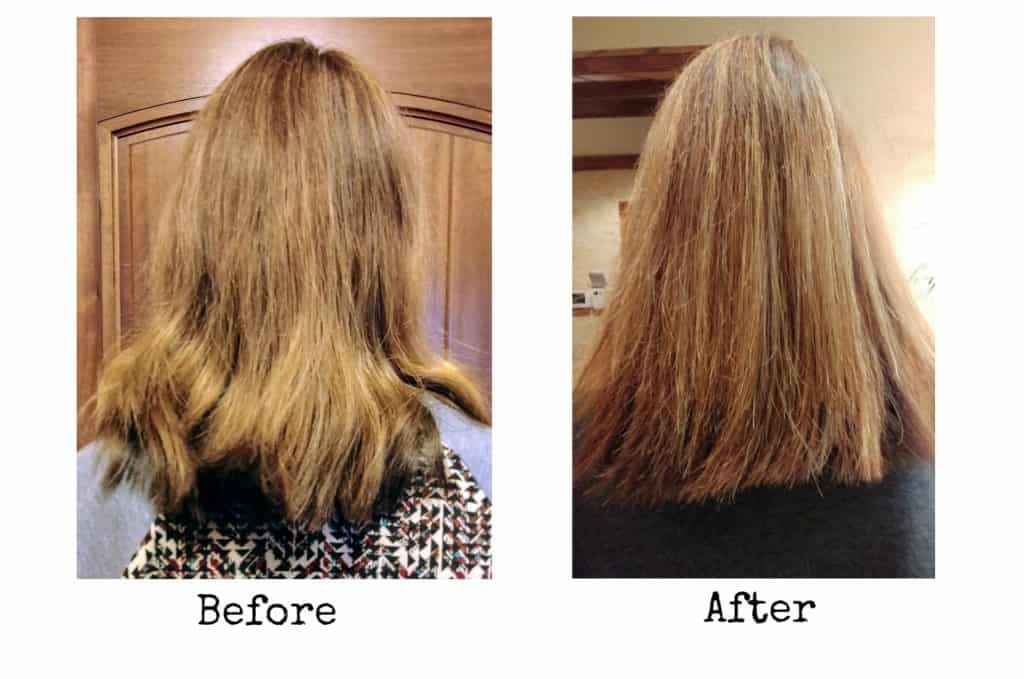 Monat Review + 5-Month Update (and Summary of Research on the ...