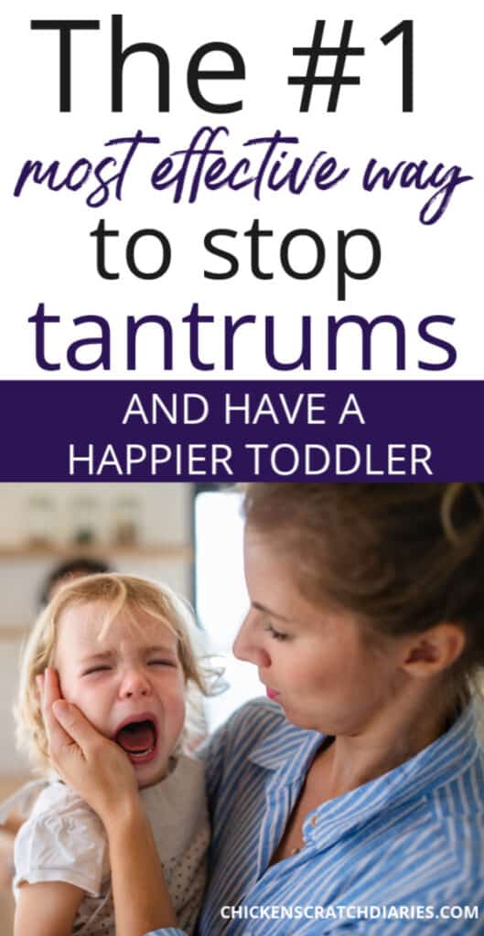 How to Use Humor to Diffuse a Toddler Temper Tantrum » Chicken Scratch ...