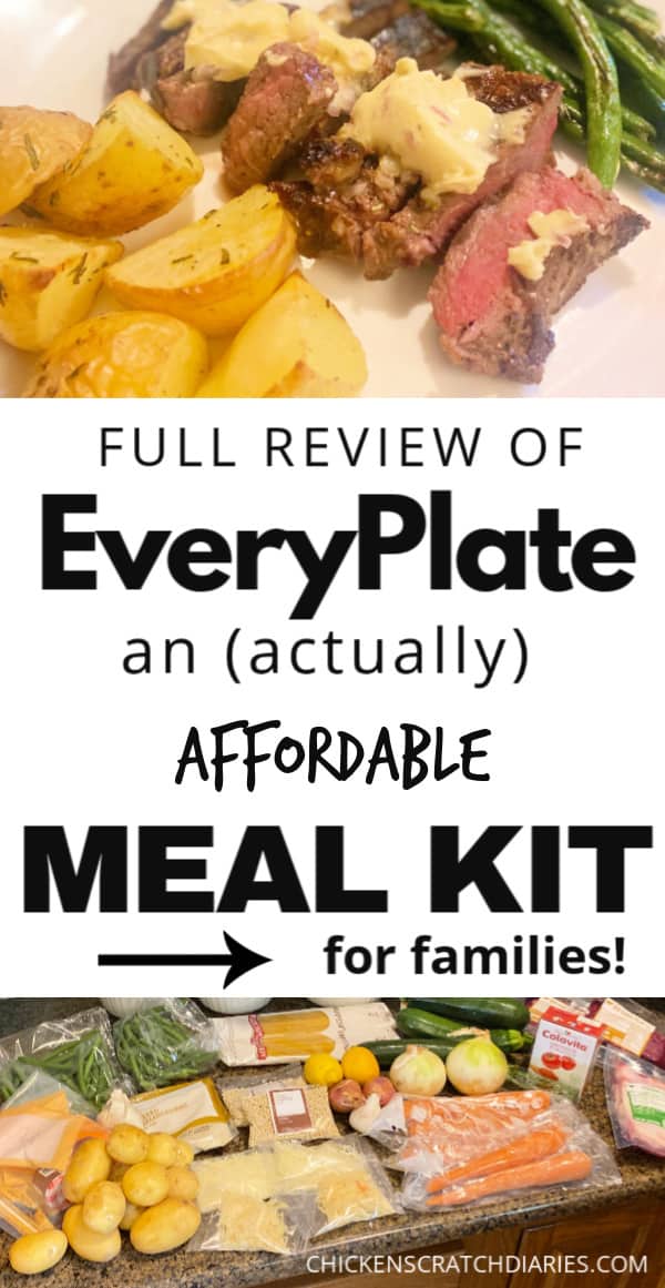 everyplate-review-is-it-an-affordable-meal-kit-for-families-chicken