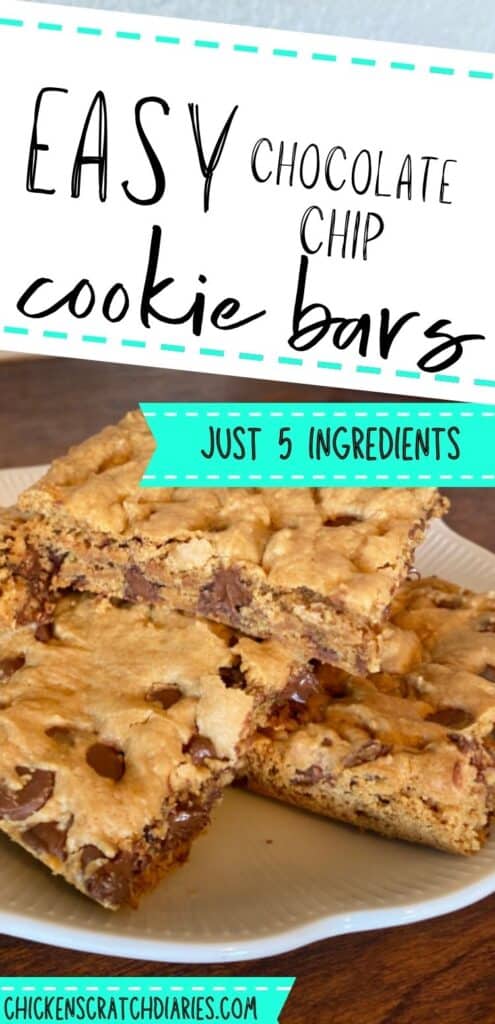 Easy 5-ingredient chocolate chip cookie bars