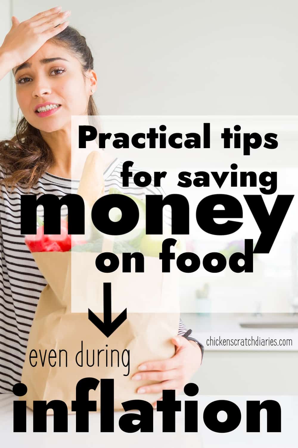 How to Save Money on Groceries 2024 Edition » Chicken Scratch Diaries