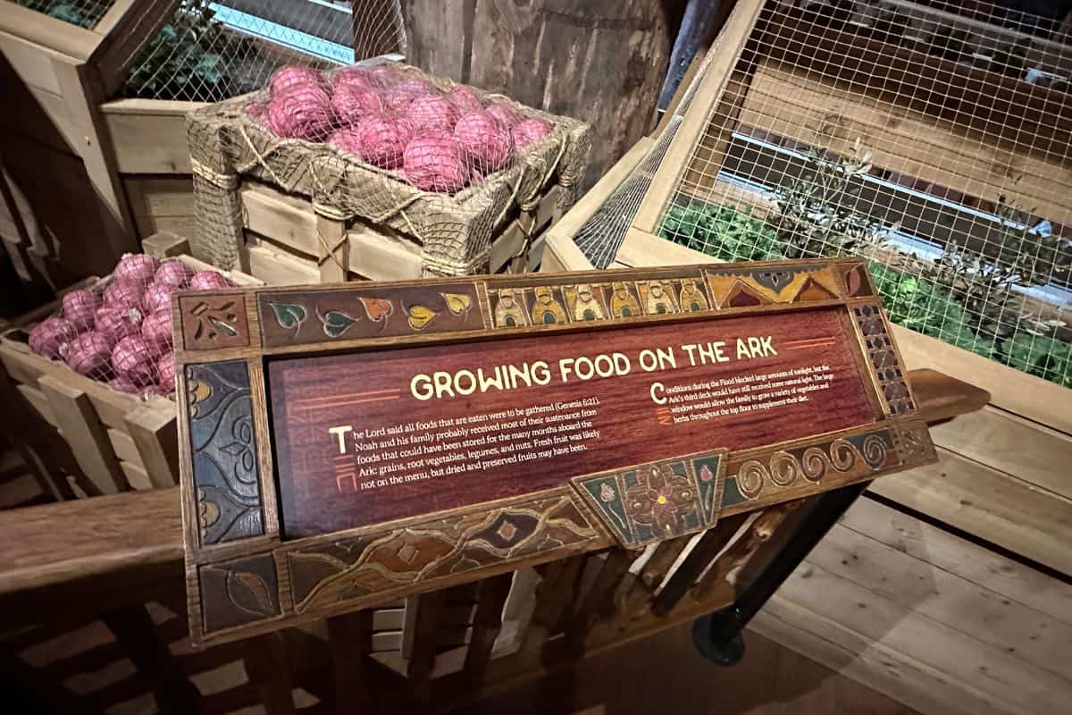 Complete Ark Encounter Review With Tips For Planning Your Ark Encounter Trip Chicken