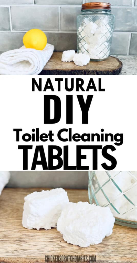 Vertical graphic with images of toilet tablets and text "Natural DIY toilet cleaning tablets"